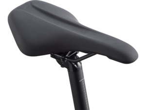 GIANT Roam Disc 2 Black 4