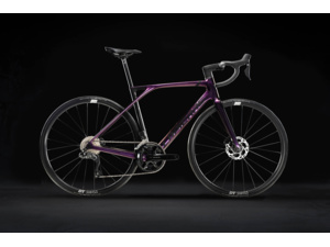 LAPIERRE Xelius SL 5.0 Di2 - S/46 (160-172cm)