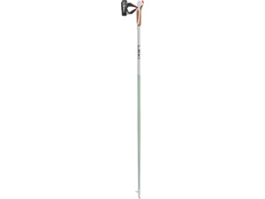 Nordic walking hole LEKI Passion Smokegreen-White-Dark Anthracite