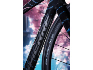 LAPIERRE Xelius SL 10.0 Symbiosis Black