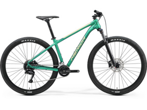 MERIDA Big. Nine 100 Matt Evergreen (Champagne)