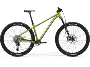 MERIDA Big. Trail 700 Silk Fall Green (Silver-Green)