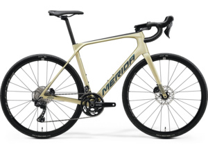 MERIDA Scultura Endurance GR 5000 Silk Champagne (Black/Blue)