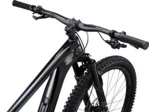 GIANT Trance Advanced Pro 29 1 Carbon/Black Diamond