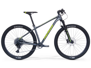 MERIDA Big.Nine NX Edition Dark Silver (Green/Silver)