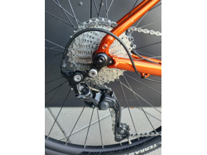 PELLS Raw 2 Orange - M - Test bike